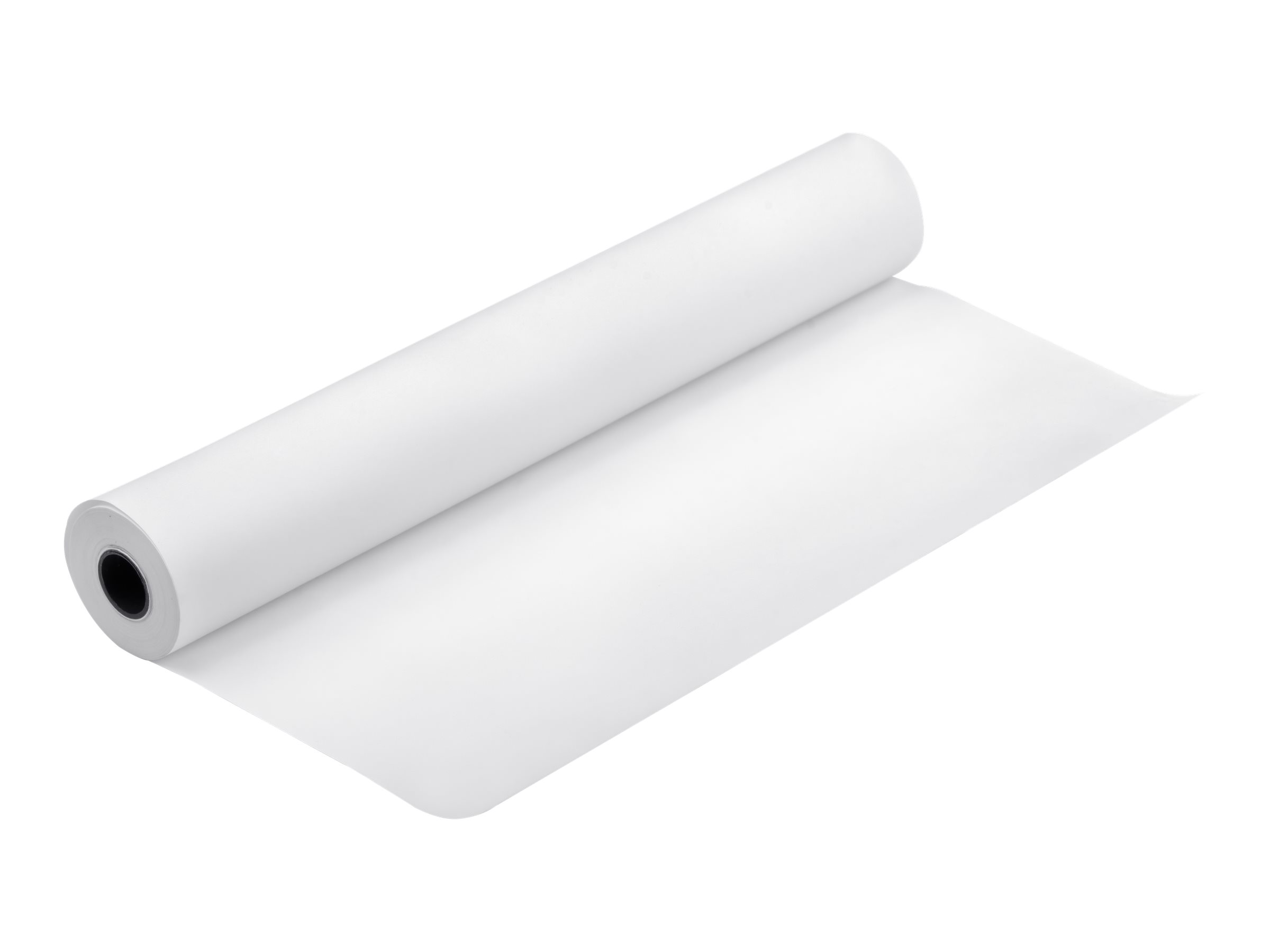 Pilt Epson Proofing Paper White Semimatte, 17" x 30,5 m, 256g/m²