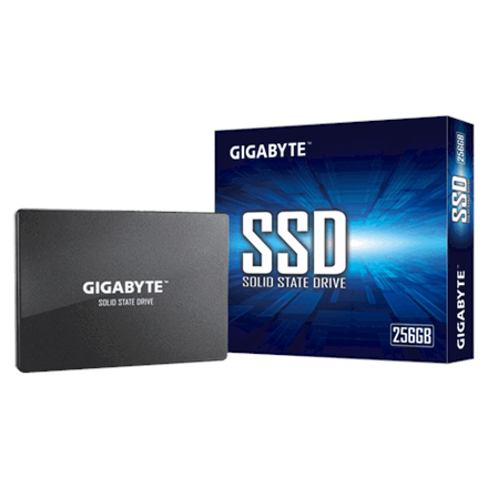 Pilt Gigabyte | GP-GSTFS31256GTND | 256 GB | Solid-state drive interface SATA | Read speed 520 MB/s | Write speed 500 MB/s