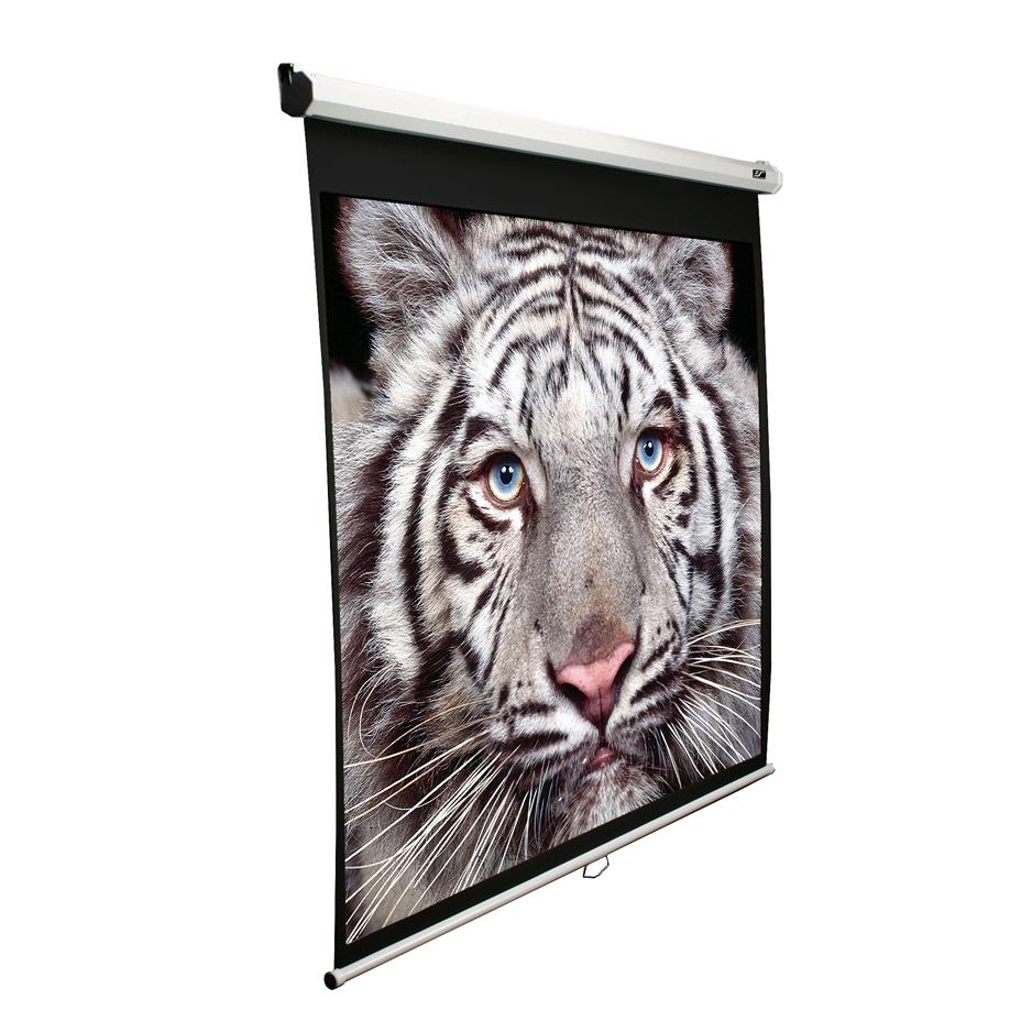 Pilt Elite Screens | Manual Series | M136XWS1 | Diagonal 136 " | 1:1 | Viewable screen width (W) 244 cm | White