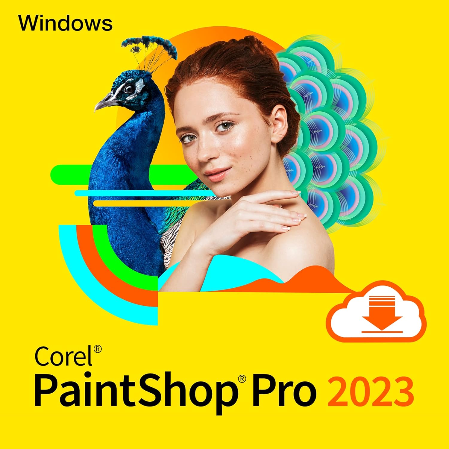 Pilt Corel| PaintShop Pro 2023 ESD