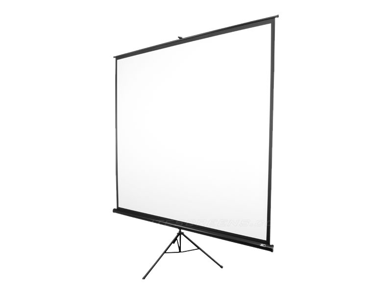 Pilt Elite Screens | Tripod Series | T99NWS1 | Diagonal 99 " | 1:1 | Viewable screen width (W) 178 cm | White