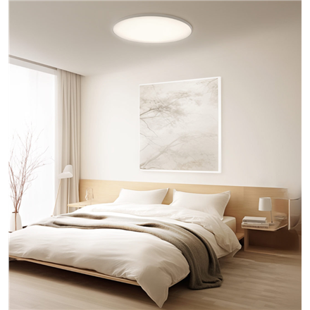 Pilt Xiaomi Smart Ceiling Light D40 | 45 W