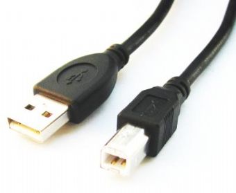 Pilt Cablexpert | CCP-USB2-AMBM-6 | USB-A to USB-B USB A | USB B