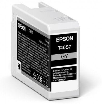 Pilt Epson UltraChrome Pro 10 ink | T46S7 | Ink cartrige | Grey