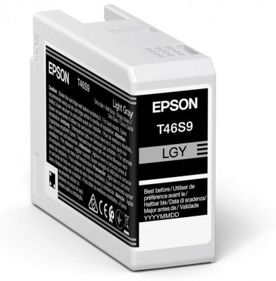 Pilt Epson UltraChrome Pro 10 ink | T46S9 | Ink cartrige | Light Gray
