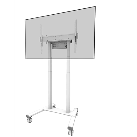Pilt Neomounts Floor stand | FL55-875WH1 TV trolley | Adjustable Height | 55-100 " | Maximum weight (capacity) 110 kg | White