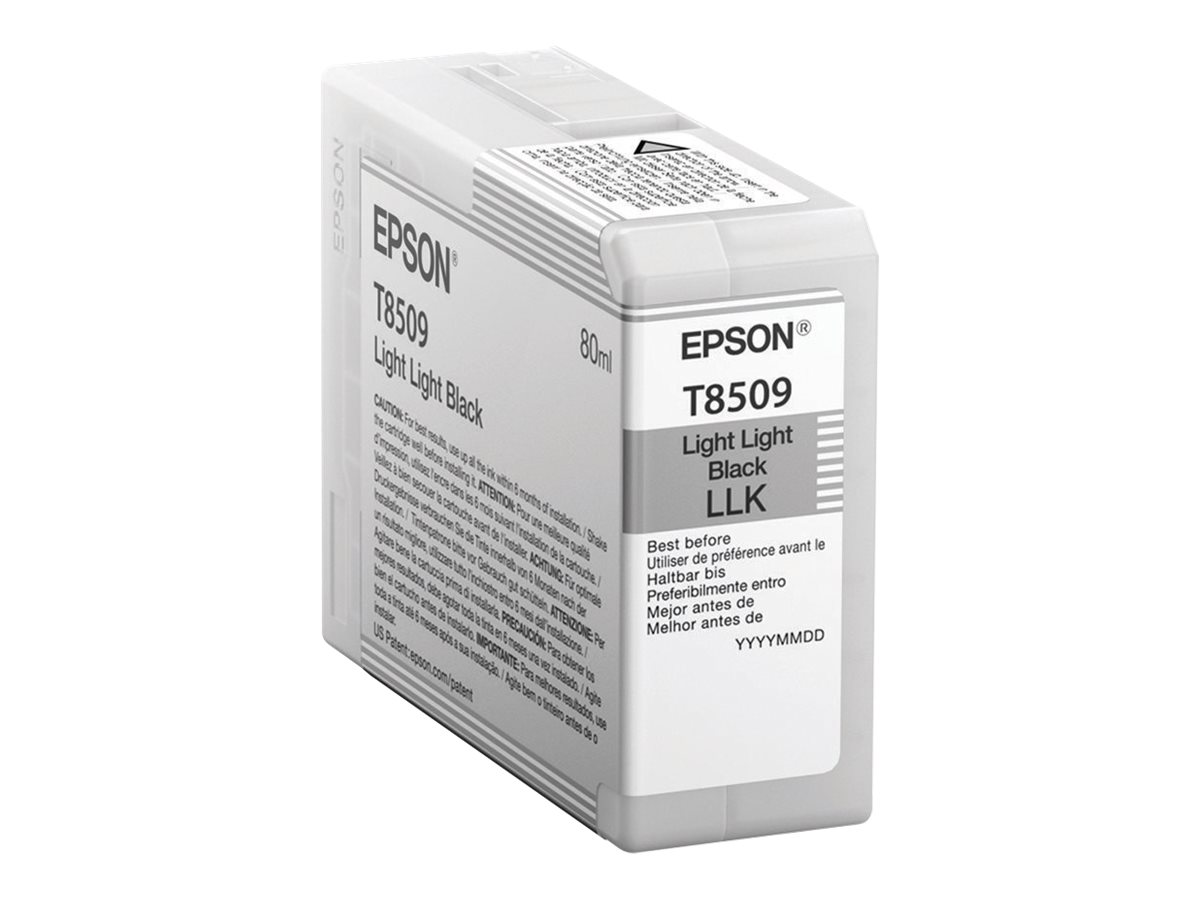 Pilt Epson T850900 | Ink Cartridge | Light Black