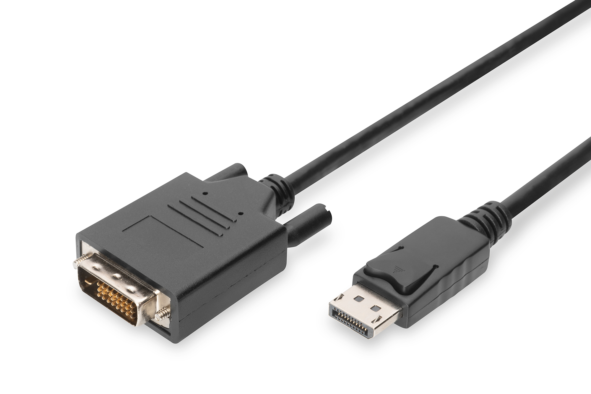 Pilt Digitus Adapter Cable, DP - DVI | DisplayPort | 2 m