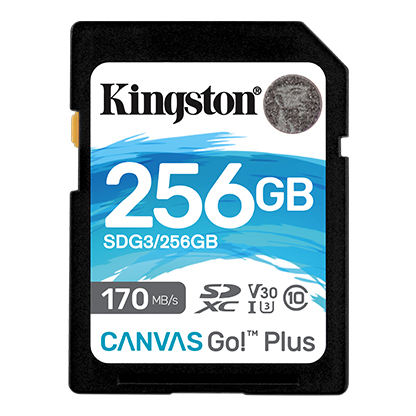 Pilt Kingston | Canvas Go! Plus | 256 GB | Flash memory class 10