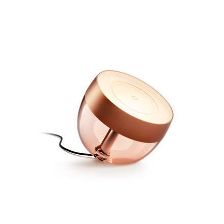 Pilt Philips Hue|Hue Iris Portable Lamp, Copper Special Edition|Copper/brass|Portable lamp