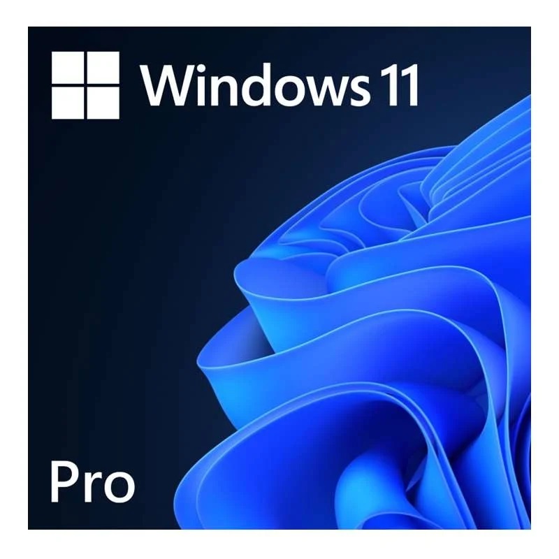 Pilt Microsoft | Windows 11 Pro | FQC-10572 | All Languages | ESD